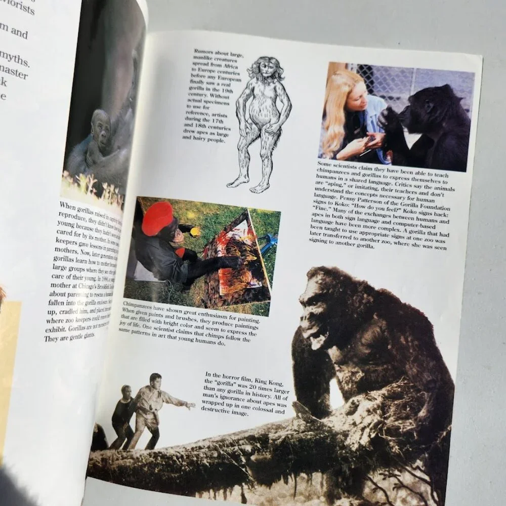 Apes Zoobooks Kids Magazine Vintage Children's Ranger Rick John Bonnett Wexo